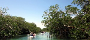 Kayak in Sian Ka'an Kayak in Tulum