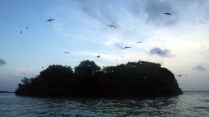 Bird´s Island - Sian Ka´an - Yucatan Outdoors
