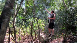 Maya Jungle Hiking - Yucatan Outdoors