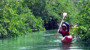 Kayak in Sian Ka'an Kayak in Tulum