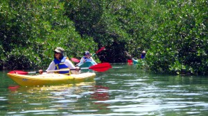 Kayak in Sian Ka'an Kayak in Tulum