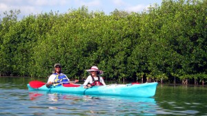 Kayak in Sian Ka'an Kayak in Tulum