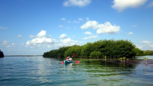 Kayak in Sian Ka'an Kayak in Tulum