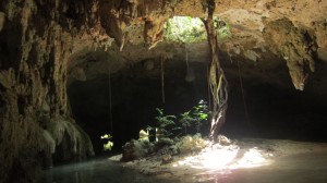 Snorkel in a Semiopen Cenote - Yucatan Outdoors