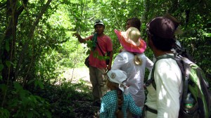 Maya Jungle Hiking - Yucatan Outdoors