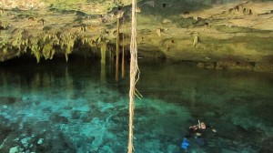 Snorkeling in a Semiopen cenote - Yucatan Outdoors