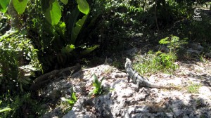 YucatanOutdoors