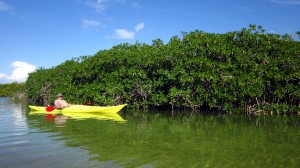 Kayak in Sian Ka'an Kayak in Tulum
