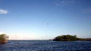 Wetland Paradise - Yucatan Outdoors
