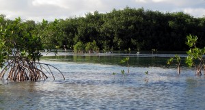 YucatanOutdoors