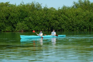 Kayak in Sian Ka'an Kayak in Tulum