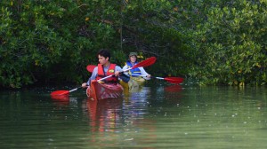 Kayak in Sian Ka'an Kayak in Tulum