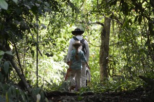 Maya Jungle Hiking - Yucatan Outdoors