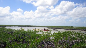 Yucatan Outdoors