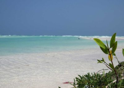 Wetland-Kayak-Yucatan-Outdoors