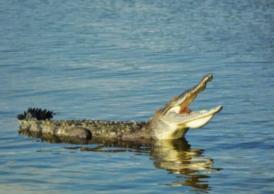 Wetland-Kayak-Yucatan-Outdoors