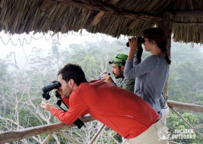 birdwatching-yucatan-outdoors
