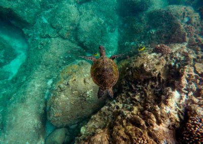 sea-kayak-snorkel-Yucatan-Outdoors