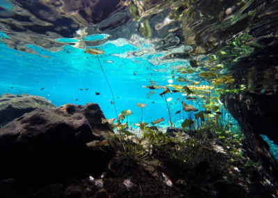 snorkel-yucatan-outdoors