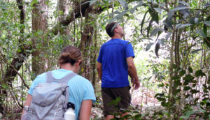wildlife jungle hiking