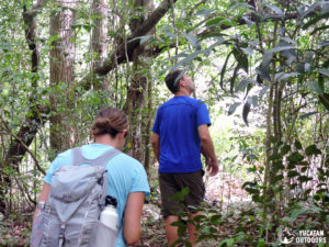 Wildlife Jungle Hiking Experience Detach