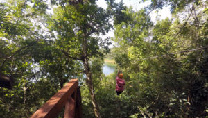 wildlife jungle hiking