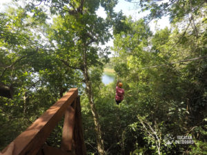 Wildlife Jungle Hiking Experience Detach