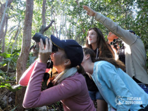 Wildlife Jungle Hiking Experience Detach