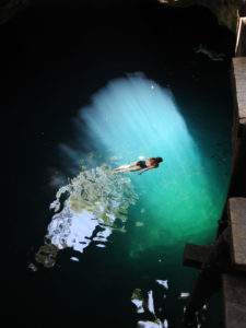 Wildlife Jungle Hiking Experience Detach
