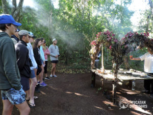 Wildlife Jungle Hiking Experience Detach
