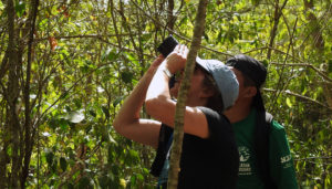 wildlife jungle hiking