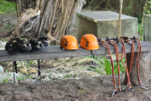 Wildlife Jungle Hiking Experience Detach