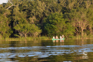 Wildlife Jungle Hiking Experience Detach