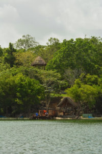 Wildlife Jungle Hiking Experience Detach