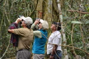 Wildlife Jungle Hiking Experience Detach