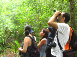 Wildlife Jungle Hiking Experience Detach