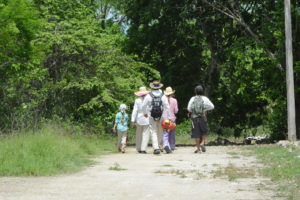 Wildlife Jungle Hiking Experience Detach