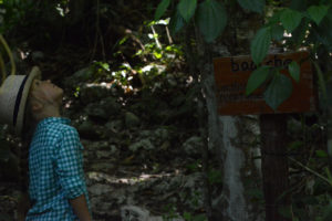 Wildlife Jungle Hiking Experience Detach