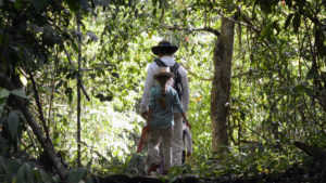 wildlife jungle hiking