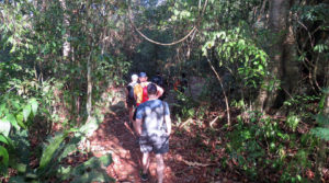 wildlife jungle hiking