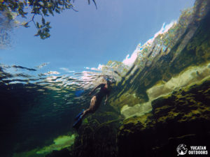 Sian Ka’an Wetlands Sea Kayak & Snorkel Trip Detach