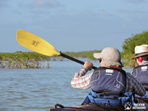 Kayak in Sian Ka'an Kayak in Tulum Wetlands Sea Kayak & Snorkel Trip Detach