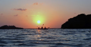 Kayak in Sian Ka'an Kayak in Tulum snorkel adventure