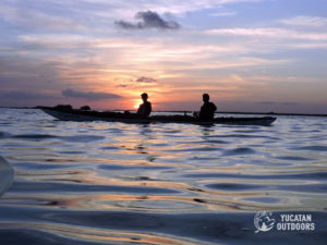 Kayak in Sian Ka'an Kayak in Tulum Wetlands Sea Kayak & Snorkel Trip Detach