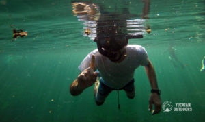 sian kaan kayak snorkel adventure