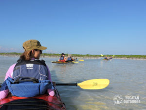 Kayak in Sian Ka'an Kayak in Tulum Wetlands Sea Kayak & Snorkel Trip Detach