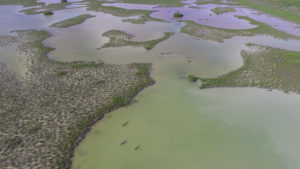 Sian Ka’an Wetlands Sea Kayak & Snorkel Trip Detach