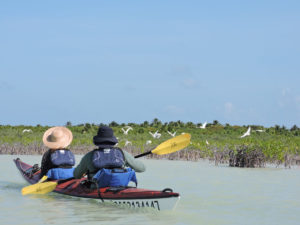 Kayak in Sian Ka'an Kayak in Tulum Wetlands Sea Kayak & Snorkel Trip Detach