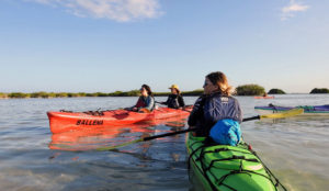 Kayak in Sian Ka'an Kayak in Tulum snorkel adventure