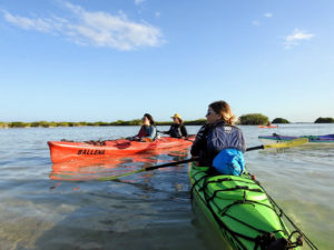 Kayak in Sian Ka'an Kayak in Tulum snorkel adventure